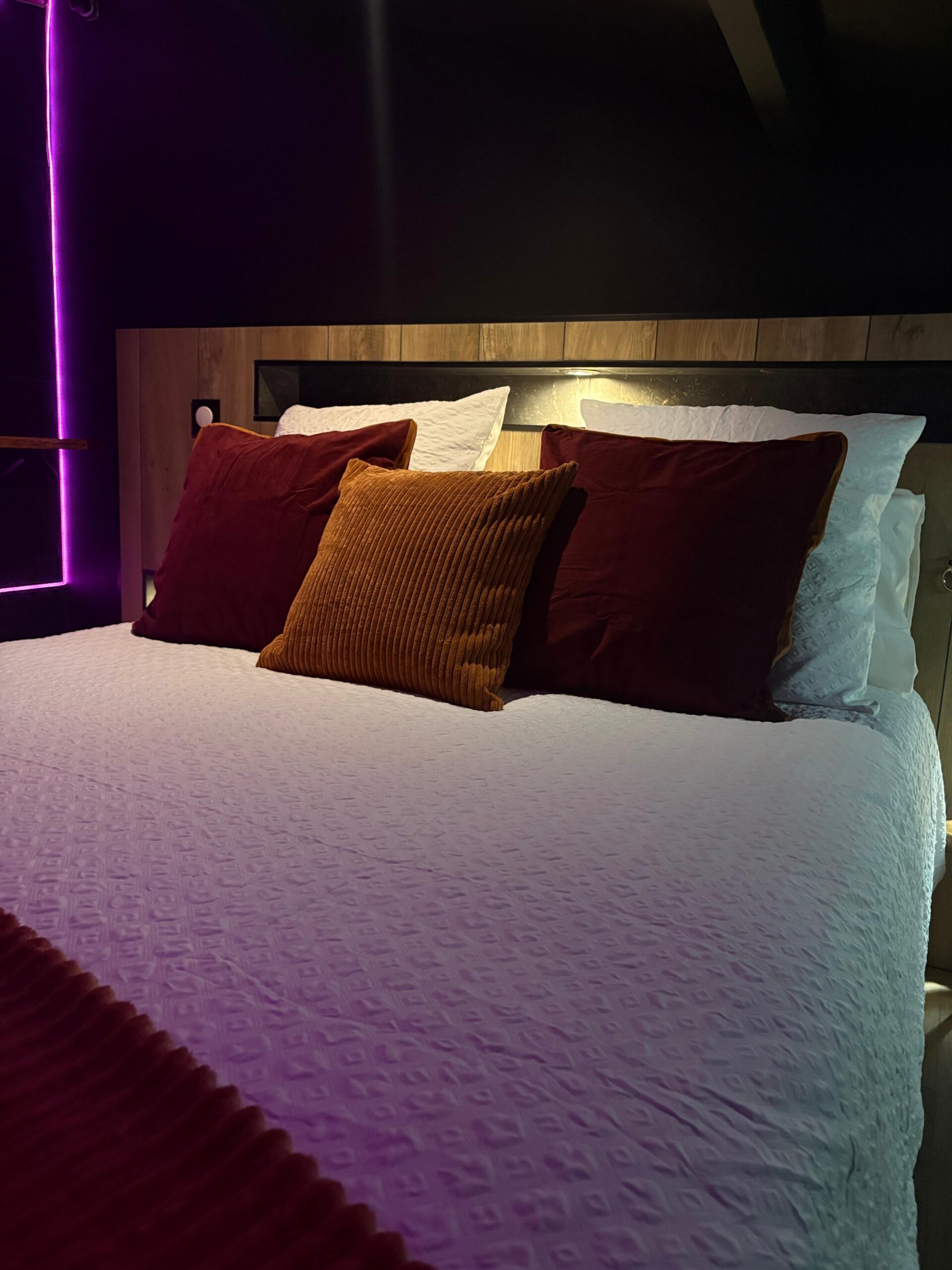 whatsapp image 2026 02 16 at 17.09.47