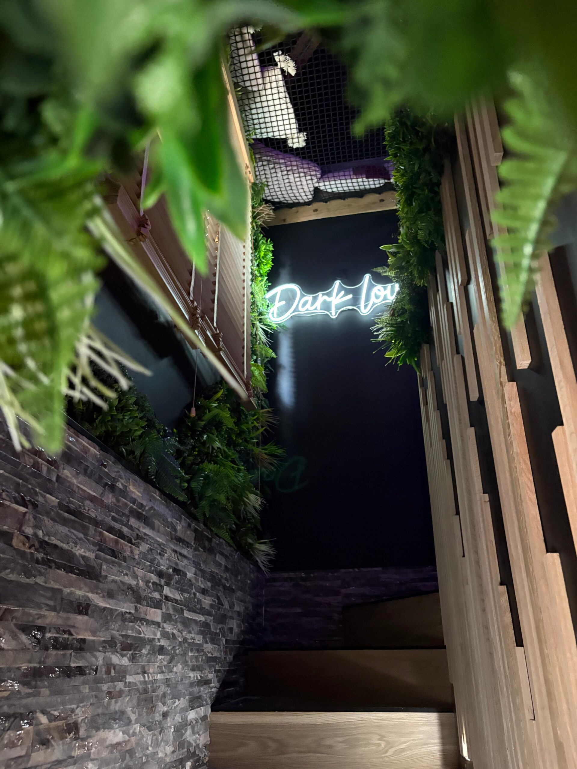 whatsapp image 2026 03 02 at 22.40.32